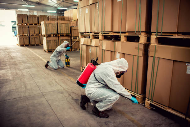 Best Pest Control Treatment  in Lake Sherwood, CA