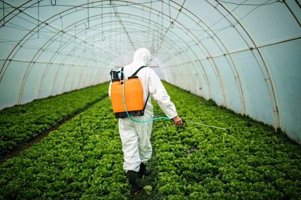 Pest Control Cost in Lake Sherwood, CA