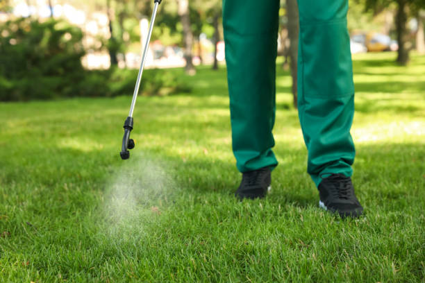 Best Pest Control Cost  in Lake Sherwood, CA