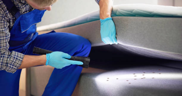 Trusted Lake Sherwood, CA Pest Control Experts