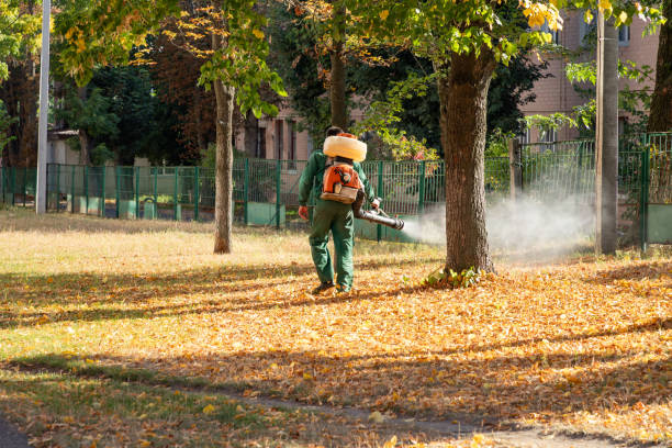 Best Exterminator Services  in Lake Sherwood, CA