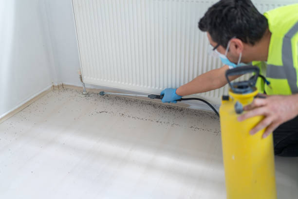 Best Ant Control Services  in Lake Sherwood, CA