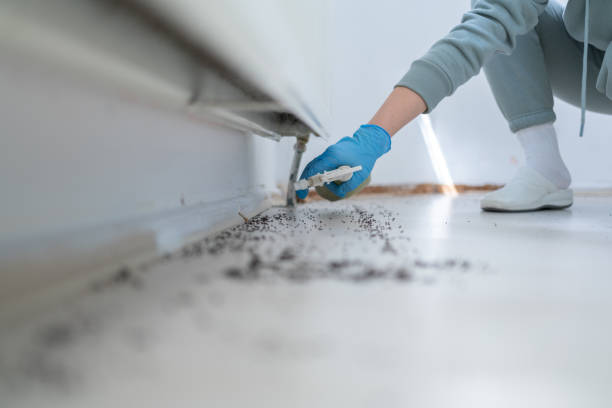 Bird Control in Lake Sherwood, CA