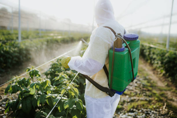 Best Affordable Pest Control Services  in Lake Sherwood, CA